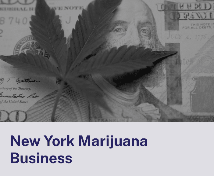 New York Marijuana Business