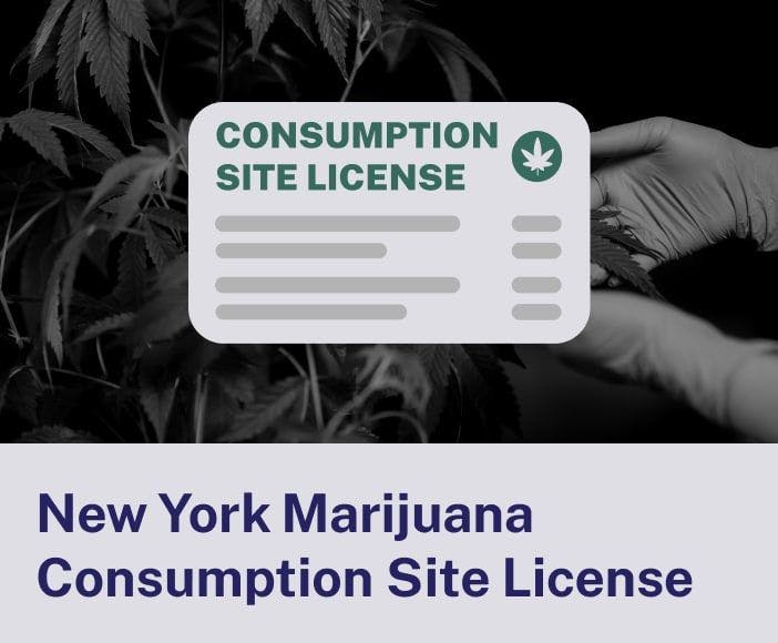 New York Marijuana Consumption Site License