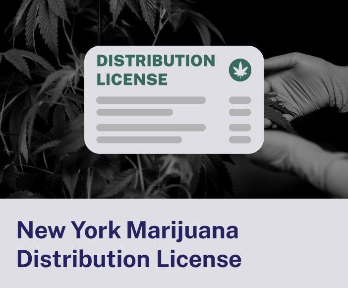 New York Marijuana Distribution License