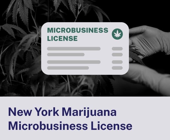 New York Marijuana Microbusiness License