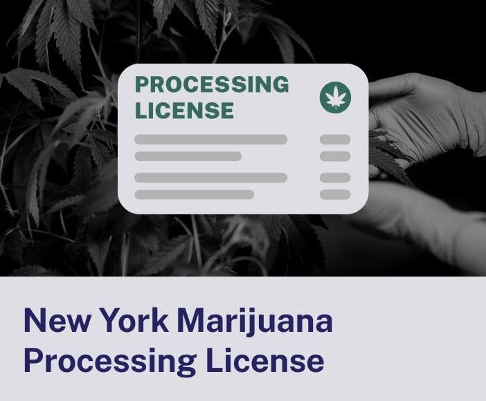 New York Marijuana Processing License