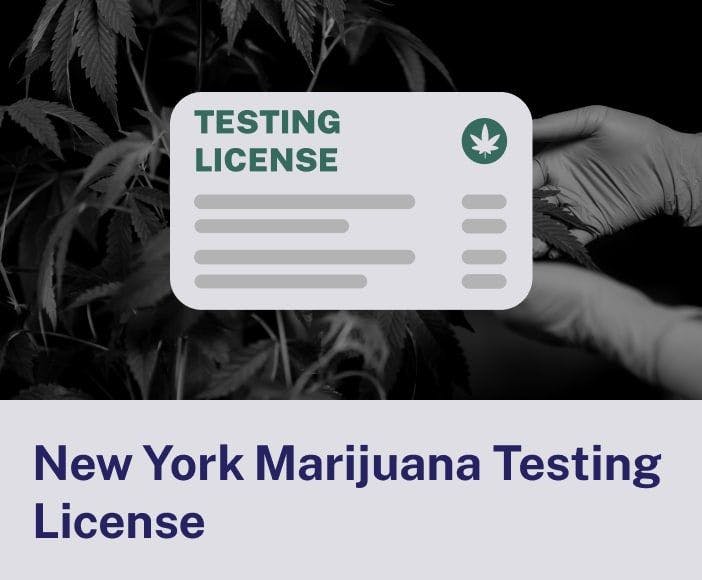 New York Marijuana Testing License