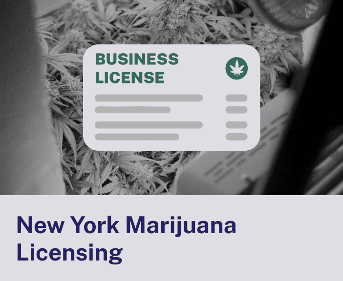 New York Marijuana Licensing