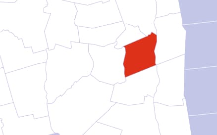 New York Albany County.jpg