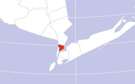 Bronx County Cannabis Overview