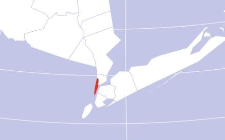 New York County Cannabis – Is It Legal & Where To Buy 2025